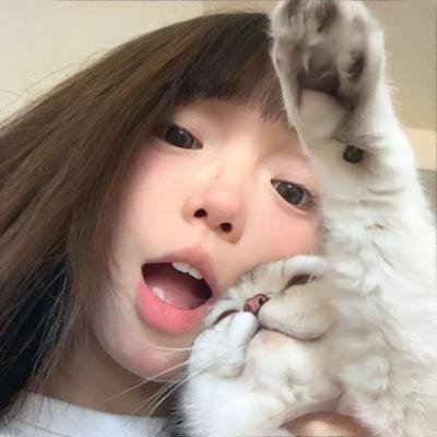 大狗民